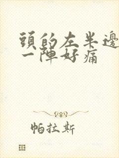 头的左半边一阵一阵好痛