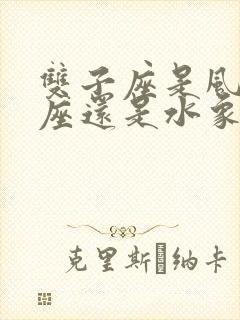 双子座是风象星座还是水象星座