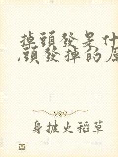 掉头发是什么病,头发掉的厉害