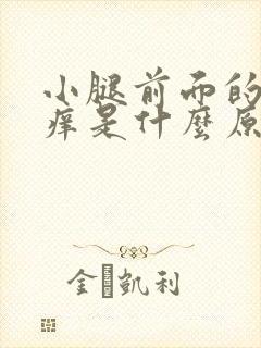 小腿前面的皮肤痒是什么原因