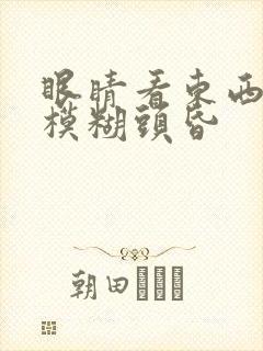 眼睛看东西很累模糊头昏