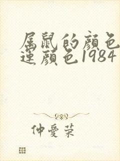 属鼠的颜色是幸运颜色1984