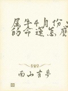 属牛4月份出生的命运怎么样