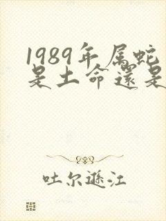 1989年属蛇是土命还是木命