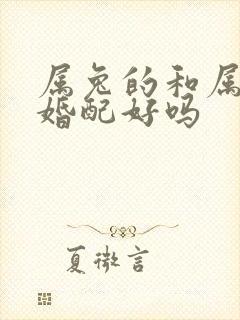 属兔的和属羊的婚配好吗封面