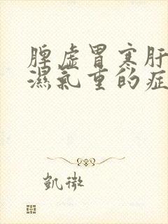 脾虚胃寒肝火旺湿气重的症状