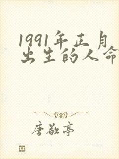 1991年正月出生的人命运