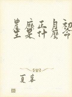 农历正月初二出生是什么命