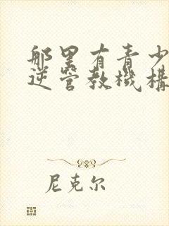 那里有青少年叛逆管教机构