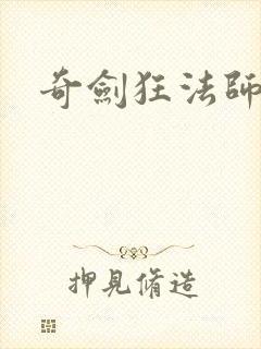 奇剑狂法师封面