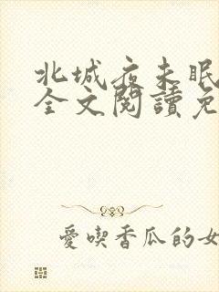北城夜未眠小说全文阅读免费