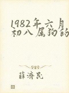 1982年六月初八属狗的命运如何