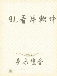 91,看片软件