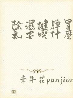 除湿健脾胃除湿气要吃什么食物呢