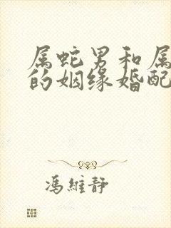 属蛇男和属兔女的姻缘婚配