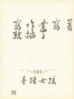 写作业写着写着就插了