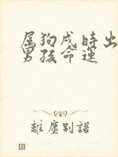 属狗戌时出生的男孩命运