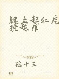 腿上起红疙瘩越挠越痒