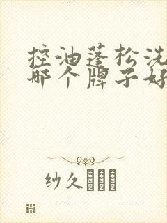 控油蓬松洗发水哪个牌子好