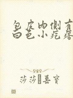 包皮内侧有一排白色小疙瘩