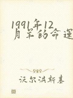 1991年12月羊的命运