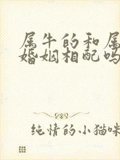 属牛的和属鸡的婚姻相配吗