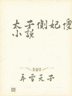 太子侧妃傻乎乎小说封面