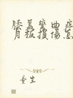 膝盖弯曲疼痛半月板损伤怎么办呢