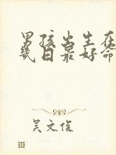 男孩出生在农历几日最好命封面