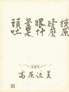 头晕眼睛模糊想吐是什么原因封面