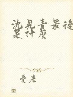 沈见青最后结局是什么