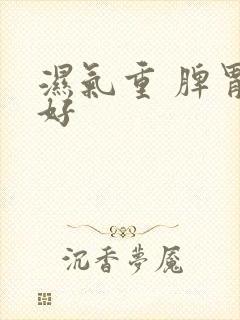 湿气重 脾胃不好