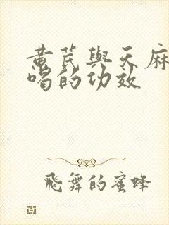 黄芪与天麻泡水喝的功效封面