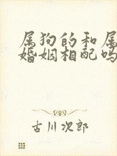 属狗的和属兔的婚姻相配吗