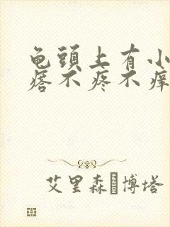 龟头上有小红疙瘩不疼不痒怎么回事