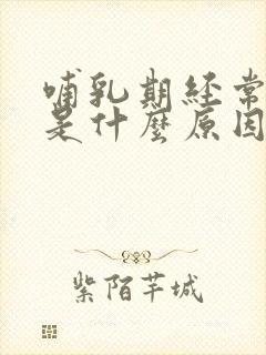 哺乳期经常堵奶是什么原因