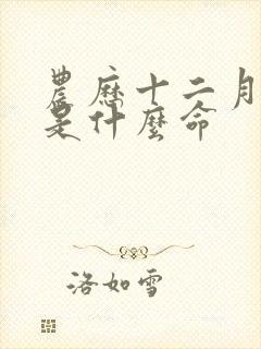 农历十二月出生是什么命