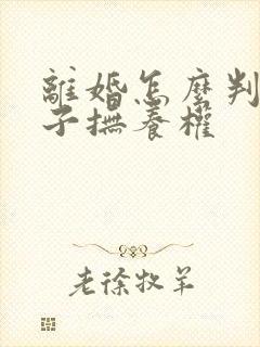 离婚怎么判定孩子抚养权