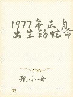 1977年正月出生的蛇命运