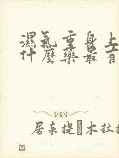 湿气重身上痒吃什么药最有效