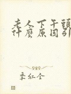 老人下午头晕是什么原因引起的