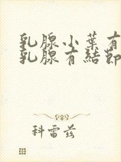 乳腺小叶有增生乳腺有结节