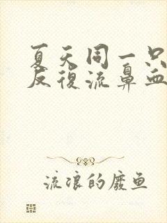 夏天同一只鼻孔反复流鼻血