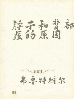 脖子和背部长痘痘的原因