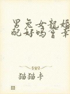 男兔女龙婚姻相配好吗会幸福吗