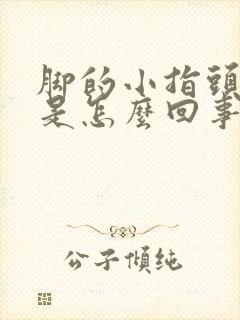 脚的小指头麻木是怎么回事封面