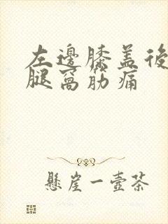 左边膝盖后面的腿窝筋痛