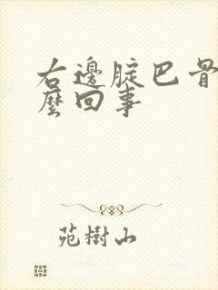 右边腚巴骨疼怎么回事