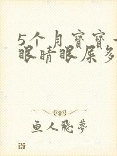 5个月宝宝一个眼睛眼屎多又黄粘稠封面