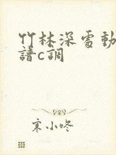 竹林深处动态曲谱c调